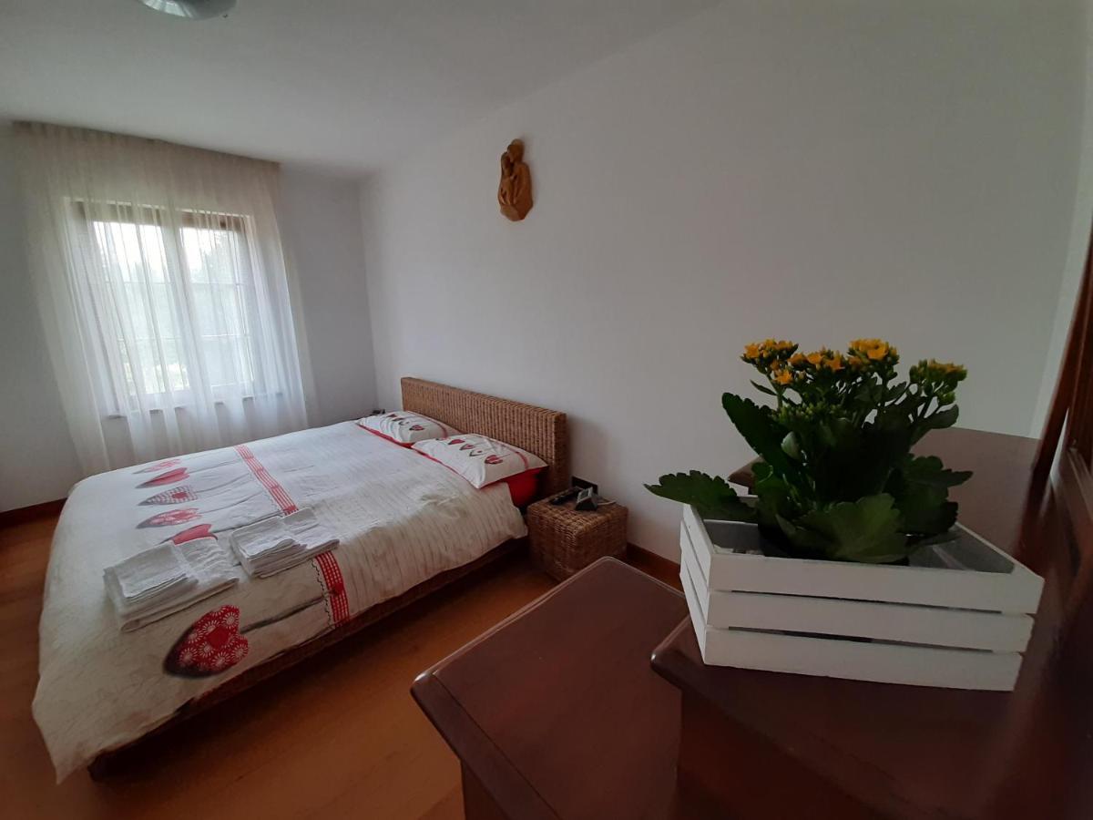 San Marcello Residence Feltre Zewnętrze zdjęcie