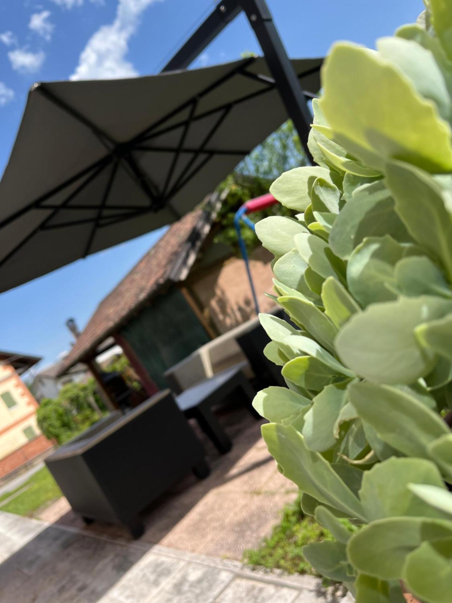San Marcello Residence Feltre Zewnętrze zdjęcie